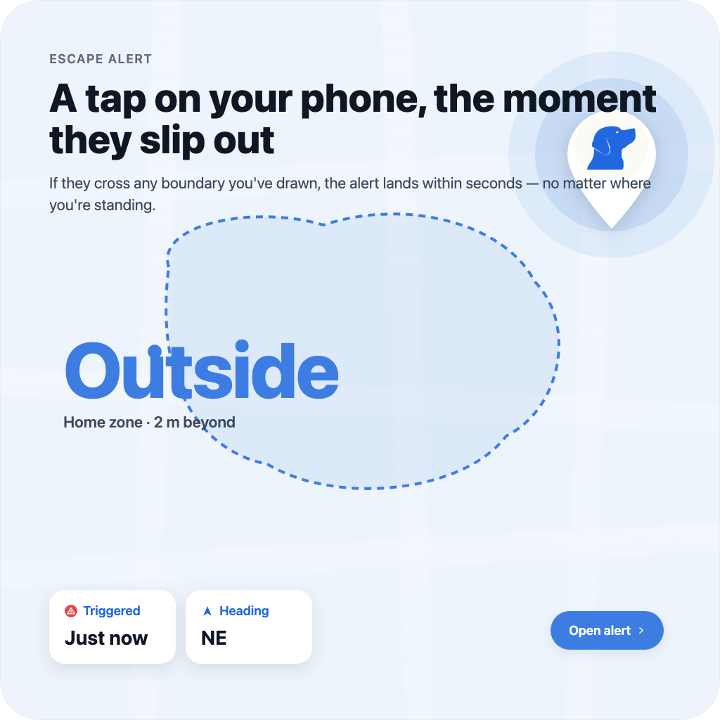 A tap on your phone, the moment they slip out.