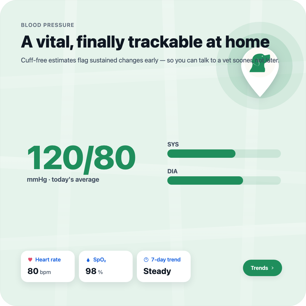 A vital, finally trackable at home.