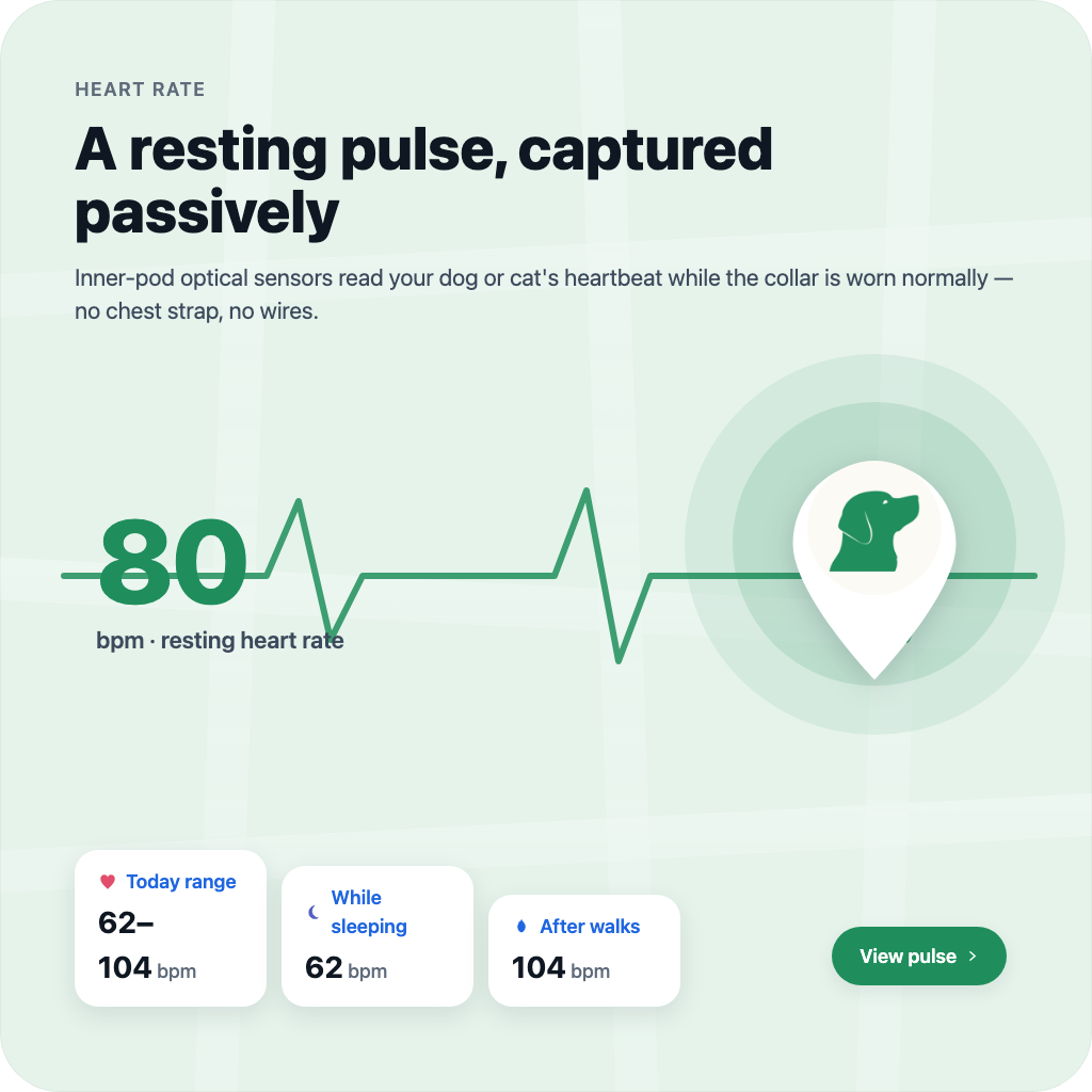 A resting pulse, captured passively.