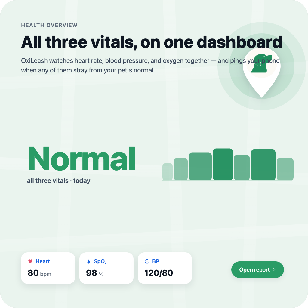 All three vitals on one dashboard.
